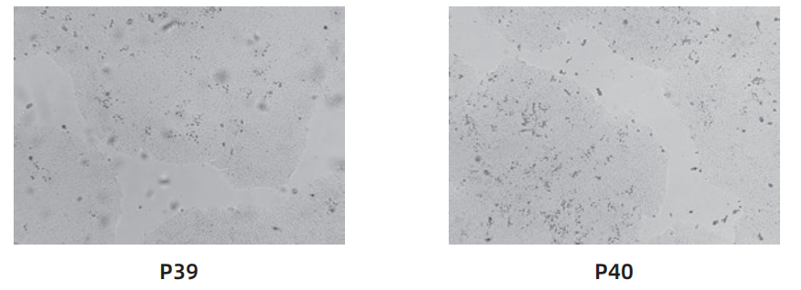 1763006197597844.png image.png