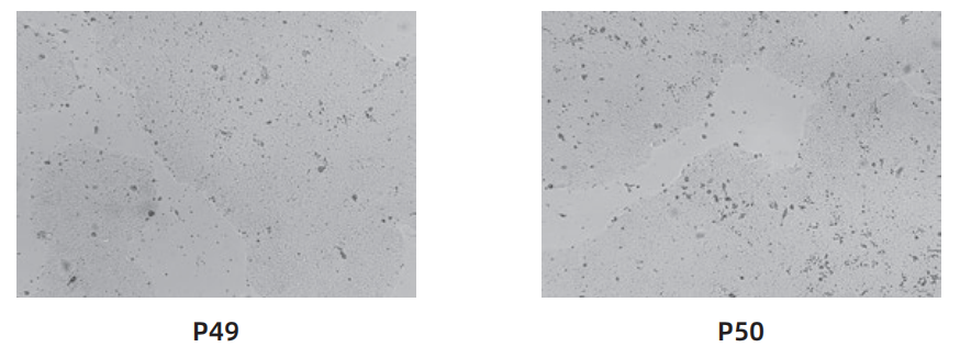 1763006213661930.png image.png