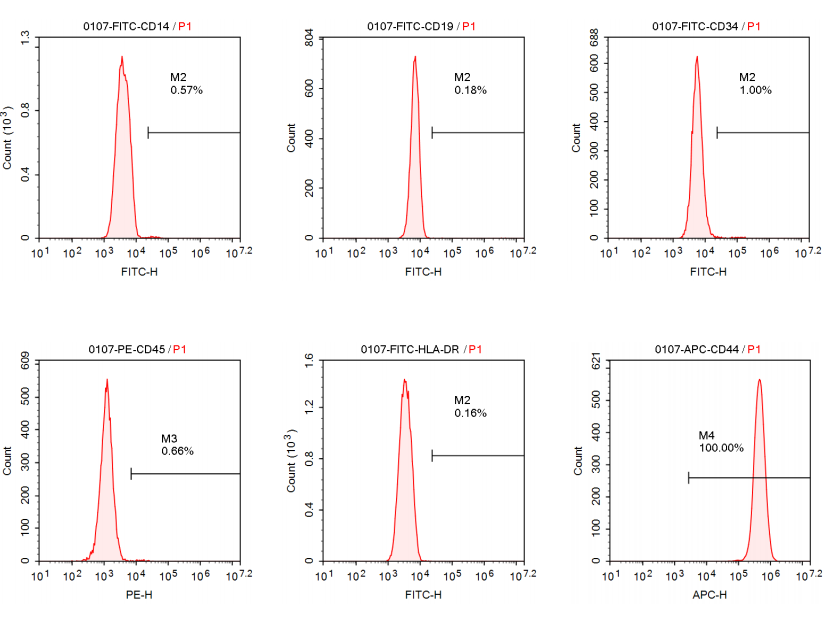 1763011076706106.png image.png