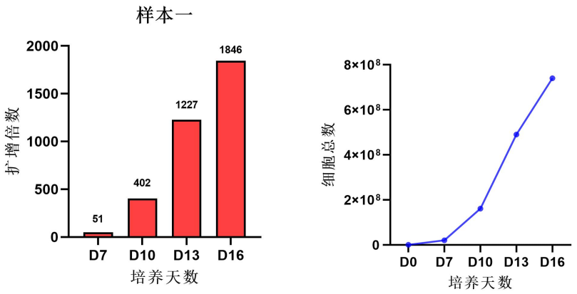 1769757843560732.png 681d0263e483a30d9a1a1be2d3b1894e.png