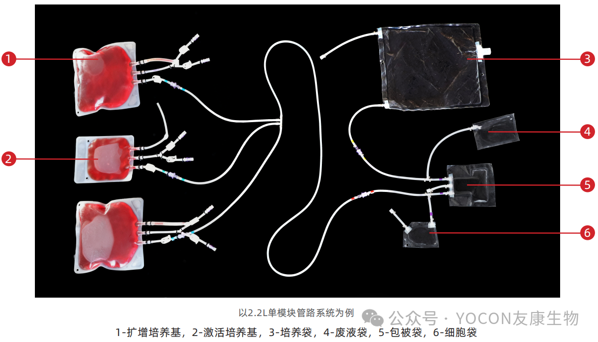 59f3f5347a1e2ef9b87512950df9029d.png