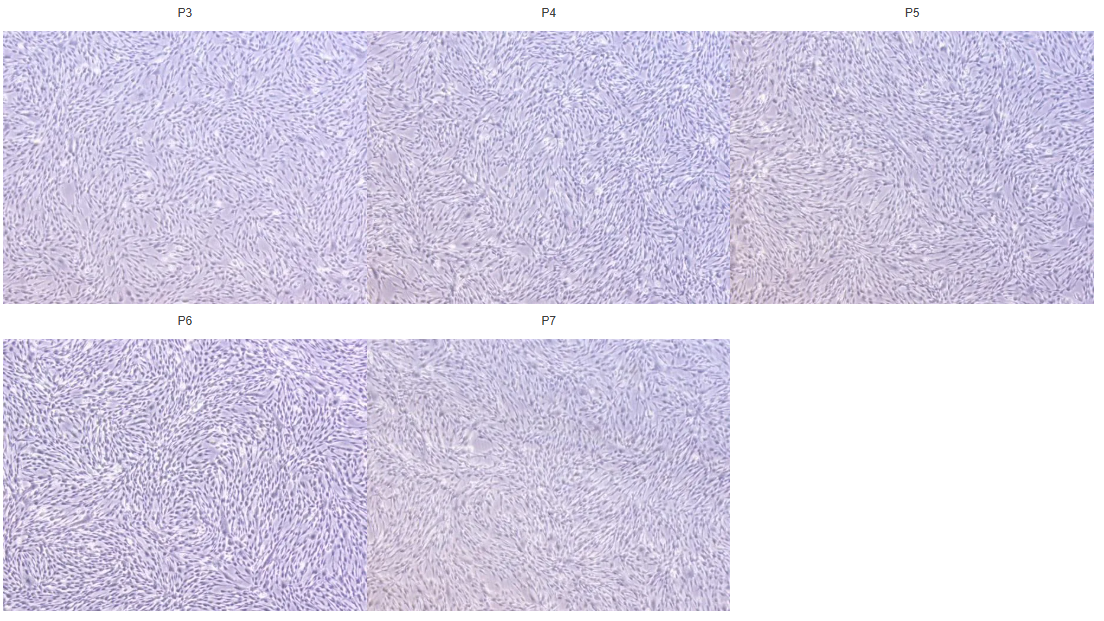 d9ca754695b58558fe59ed844e078752.png